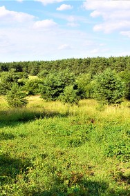 PIĘKNA DZIAŁKA BUDOWLANA NA SPRZEDAŻ DOOKOŁA LAS POSOKA GM. STARE MIASTO - 12 AR-2