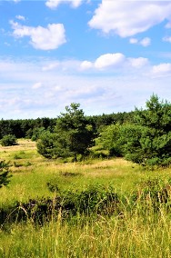 PIĘKNA DZIAŁKA BUDOWLANA NA SPRZEDAŻ DOOKOŁA LAS POSOKA GM. STARE MIASTO - 12 AR-3