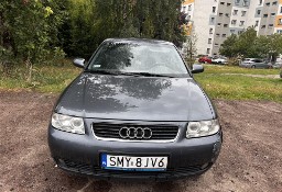 Audi A3 I (8L) Ponadczasowa KSIĘŻNICZKA, magiczna, AUDI A3, 1.9 TDI, 2002 r.