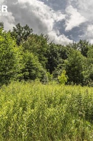 Działka budowlana z lasem i widokiem na jezioro-2