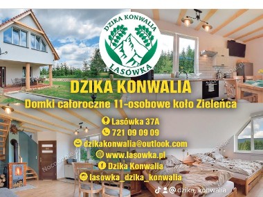 Dzika Konwalia - domki w Lasówce koło Zieleńca -1