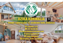 Dzika Konwalia - domki w Lasówce koło Zieleńca 
