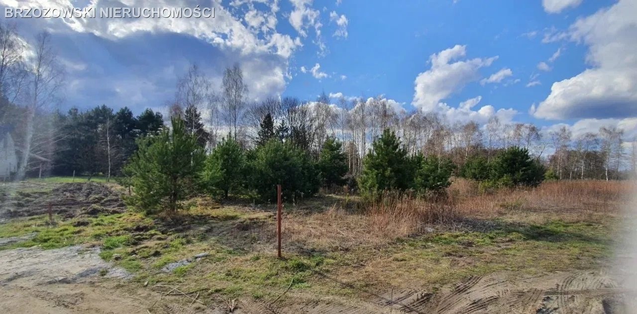 Michałów-Grabina, 1000 m², MPZP mieszkaniowa - Widok 2