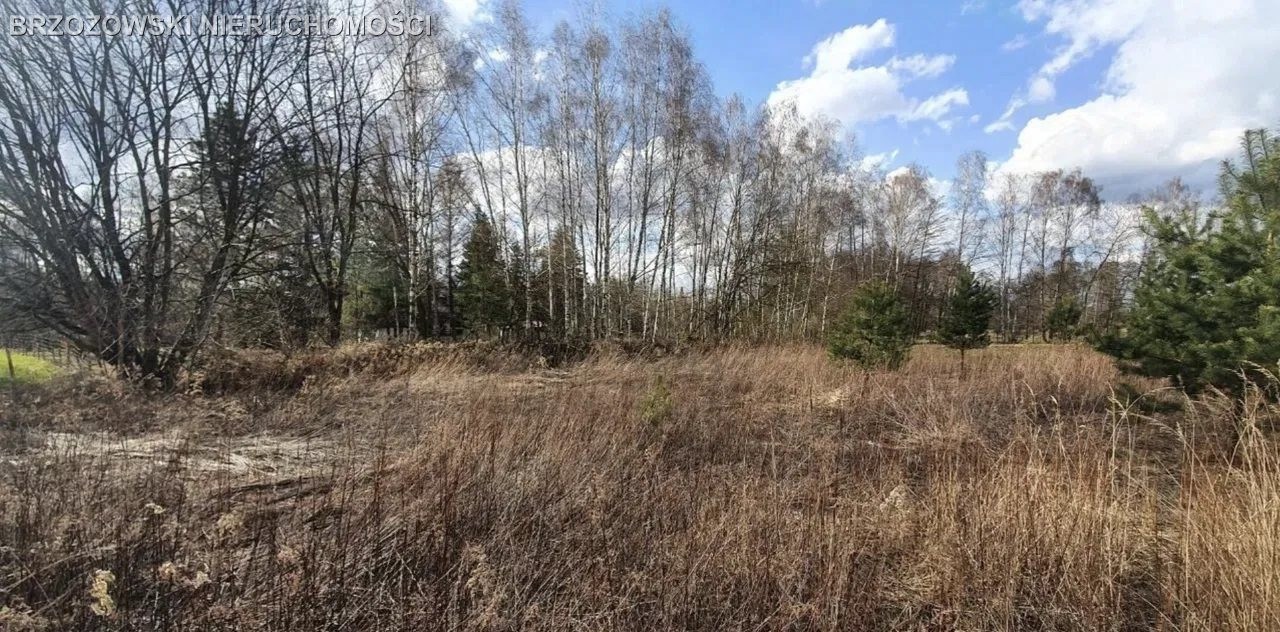 Michałów-Grabina, 1000 m², MPZP mieszkaniowa - Widok 3