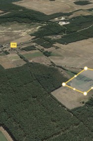 Grunt Rolny 10,92 ha w Zielonowie | 50 km od Piły-3