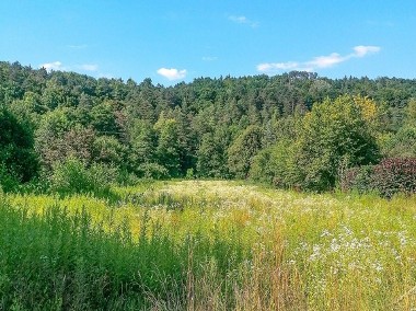 Działka nad rzeką Bystrą (3091 m) - Bochotnica-1