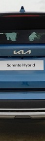 Kia Sorento III 1.6 T-GDI HEV 230 KM 6AT AWD 7S Prestige Line | Mineral Blue |MY24-4