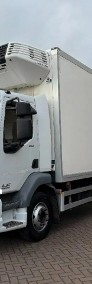 DAF LF 250 Euro 6 Chłodnia 19 pal, DMC 16 TON tylko 424tys.km! DAF LF 250 Euro 6 DMC 16 TON chłodnia 19 palet Sprowadzony winda kla-3