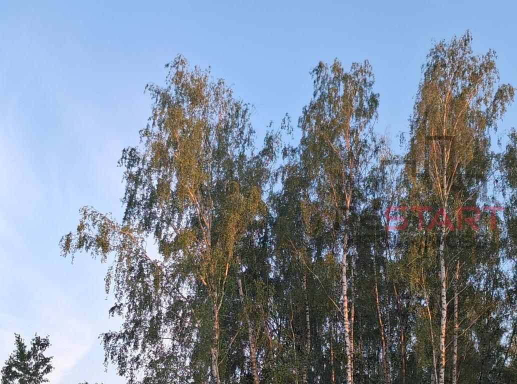 Wyjątkowa działka w Łazach - 1625 m². - Widok 2