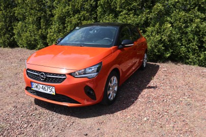 I właściciel w kraju