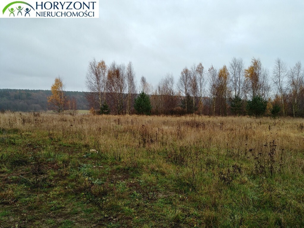 Żukowo - działka inwestycyjna - Widok 2