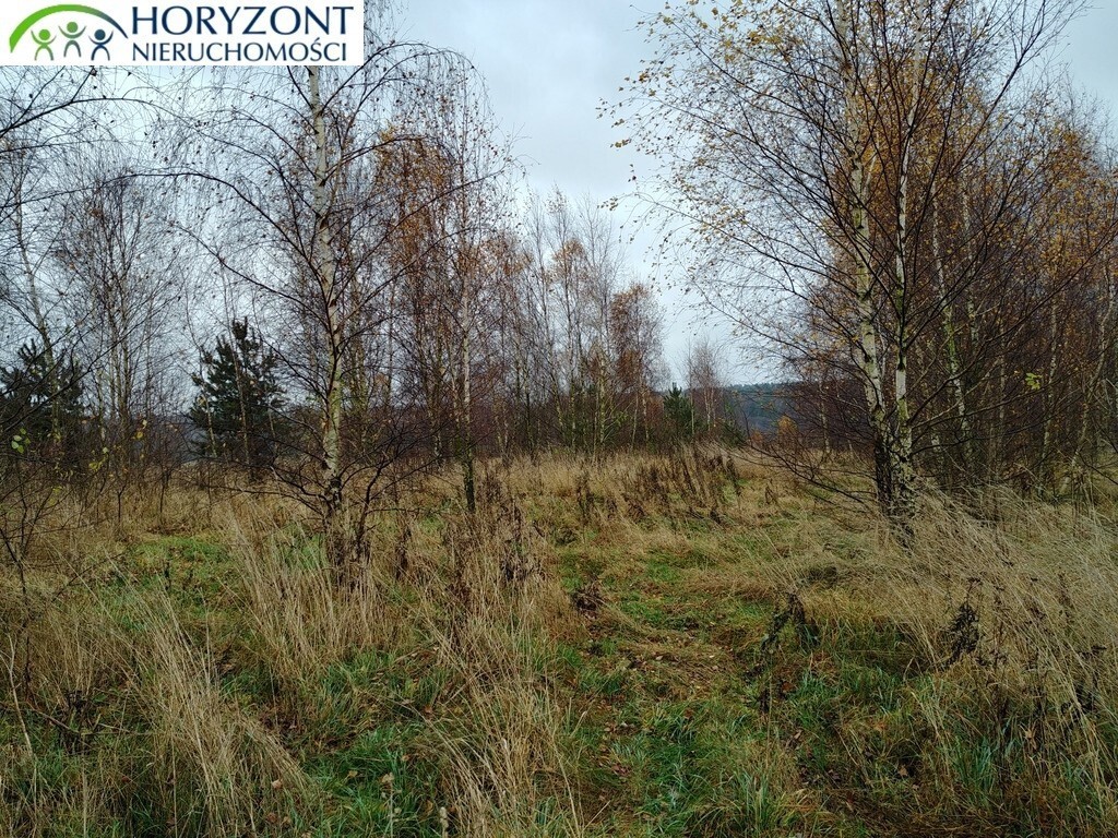 Żukowo - działka inwestycyjna - Widok 3