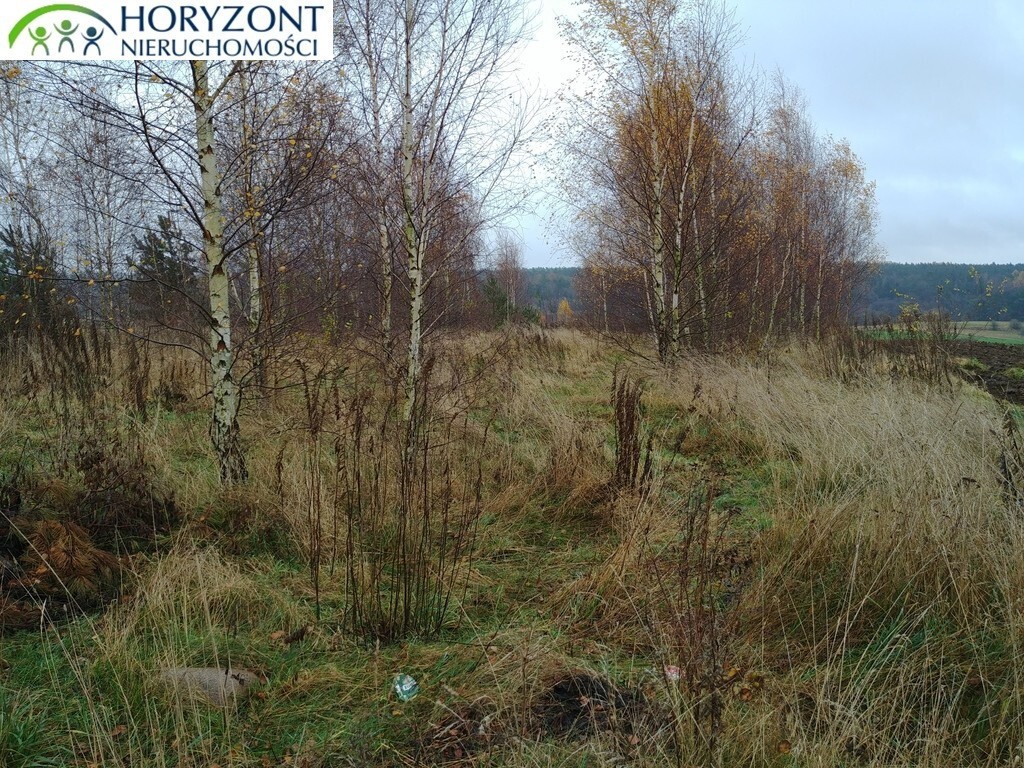 Żukowo - działka inwestycyjna - Widok 4
