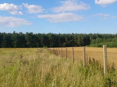 Działka rolna Wudzyn-2