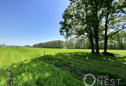 Działka budowlana Zadębie, ul. Małego Księcia