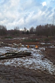 Wycinka drzew Czyszczenie terenu Mulczowanie Karczowanie Frezowanie -2