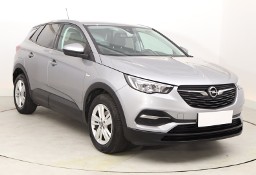 Opel Inny Opel , Salon Polska, Automat, VAT 23%, Klimatronic, Tempomat,
