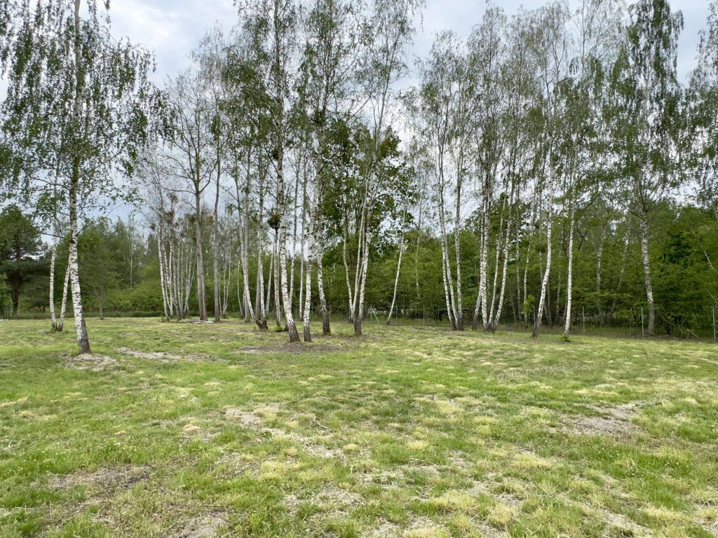 Czarnów. Działka budowlana w otulinie Chojnowskiego Parku Krajobrazowego – pohled 2
