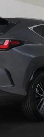 Lexus NX NX 14- 450h+ Omotenashi AWD NX 450h+ Omotenashi AWD 2.5 | Kamera cofania z widokiem-4