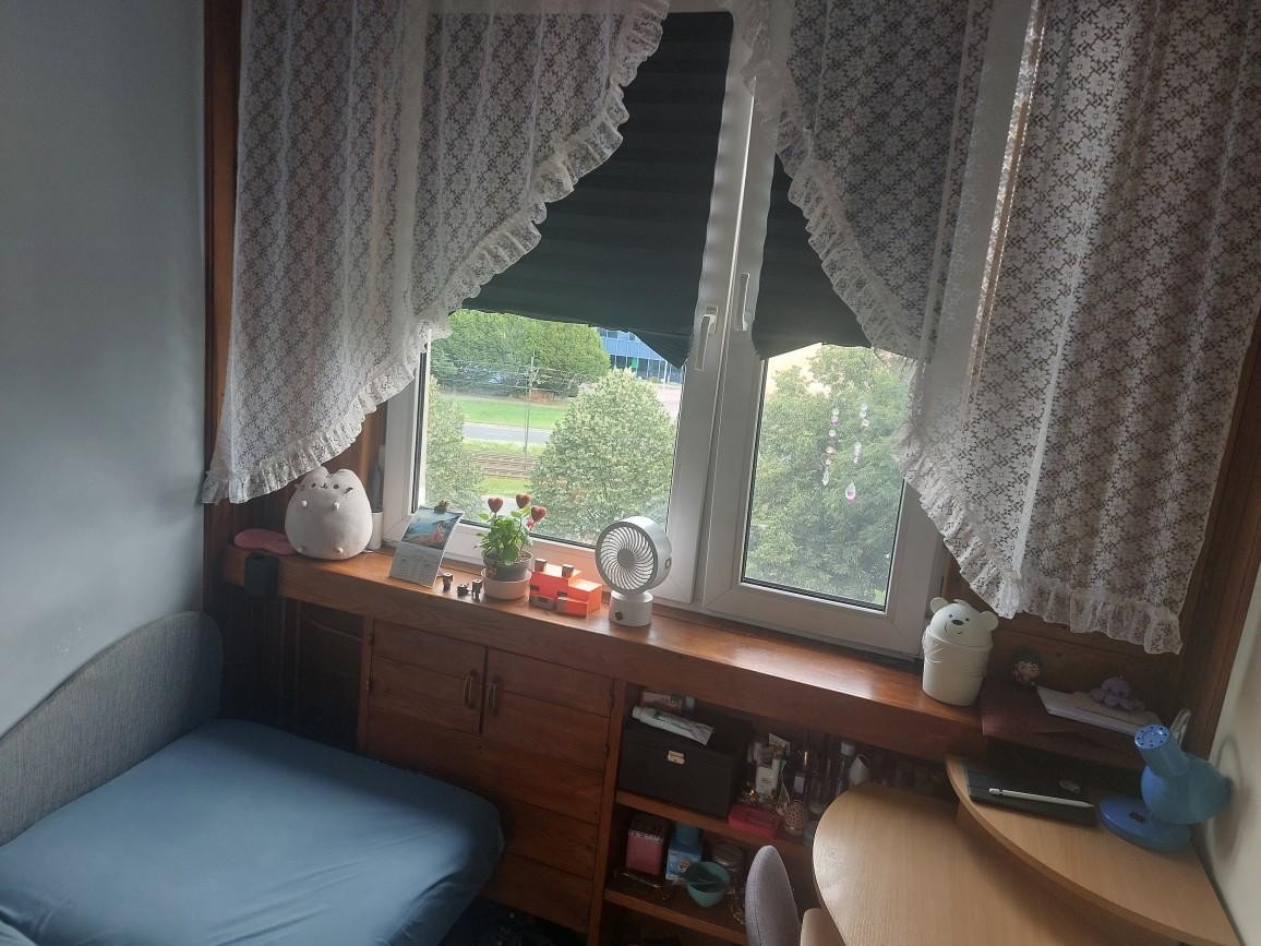 pokój na wynajem
