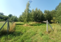 Działka leśna Kocerany, ul. Akacjowa