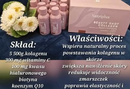 Zakupy z dostawą do domu . Otworz sobie swój sklep za 200zł