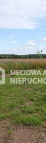 atrakcyjna działka rolna 5000m2, Lisewiec k/Kolbud-3