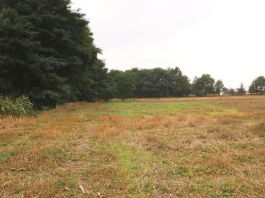 atrakcyjna działka 1.300 ha, Chełmce-1
