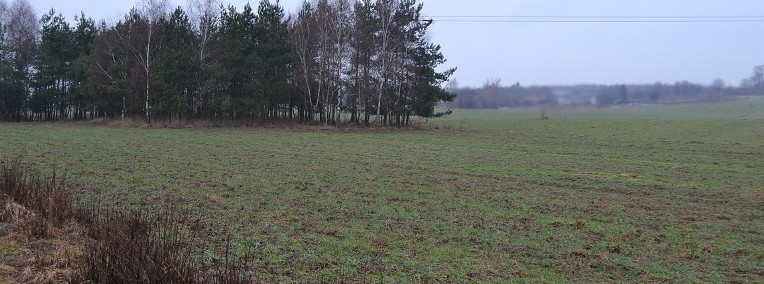 Józefów (gm.Zgierz) 3000m2 warunki zabudowy -1