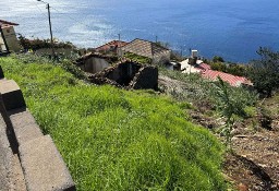 Dom Ilha Da Madeira, Fajã Da Ovelha