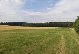 Sprzedam dużą działkę pod Olsztynem Nikielkowo