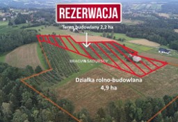 Działka rolna Wolica