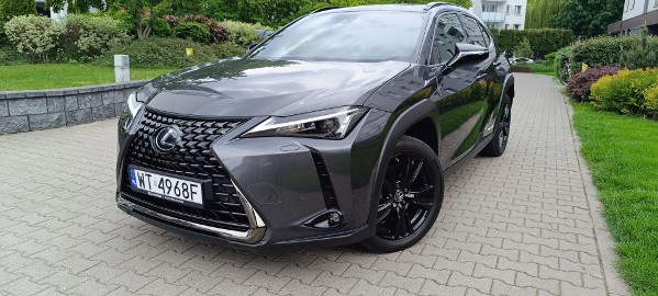 UX250h 1wl.Org.lakier 100%