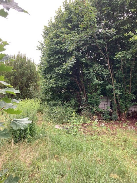 DZIAŁKA KOBYLEPOLE - Widok 2