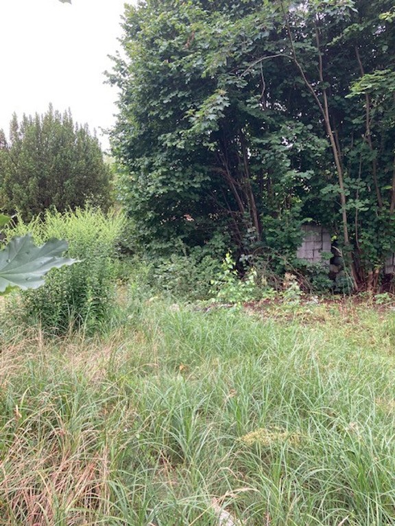 DZIAŁKA KOBYLEPOLE - Widok 3