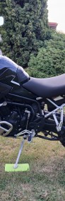 Tiger 900 Rally Pro 2024r-3