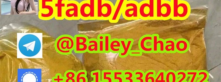 5CL-ADB powder supplier 5cl adb 5cladba in stock-1