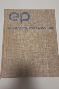 Książka – „Encyklopedia popularna PWN” (1982 r.), do sprzedania-2