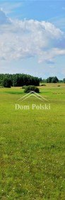 Działki 4000 m2 w Puszczy Boreckiej - Szwałk -3