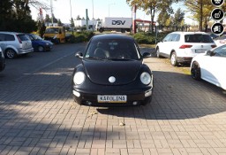 Volkswagen New Beetle