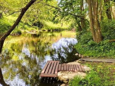 Pole namiotowe nad rzeką Wel * Spływy kajakowe * Agroturystyka * Noclegi-1