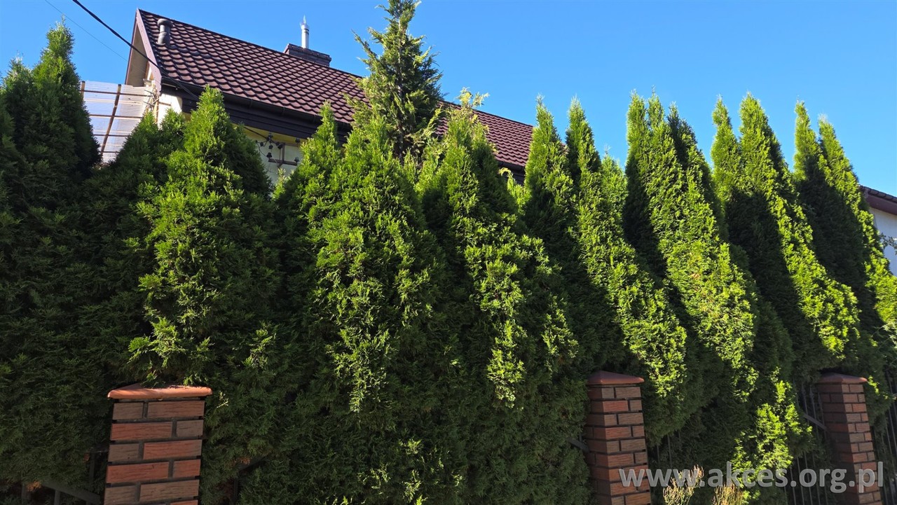 Dom na sprzedaż, 5 pokoi, 120 m², Nasielsk