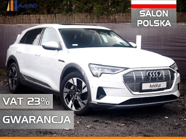 55 Quattro SALON POLSKA Kamery 360 Panorama Dach Bang&Olufsen VAT23%-1