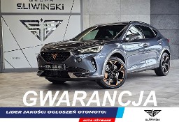 Cupra Formentor VZ 2.0 TSI 4Drive DSG