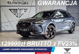 Cupra Formentor VZ 2.0 TSI 4Drive DSG