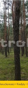 Działka leśna Popowo-Letnisko-3