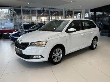 Skoda Fabia III Ambition, PDC, Tempomat, Salon PL, 1-wł, FV-23%, gwarancja, DOSTAWA-1