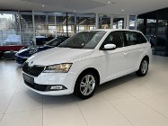 Skoda Fabia III Ambition, PDC, Tempomat, Salon PL, 1-wł, FV-23%, gwarancja, DOSTAWA