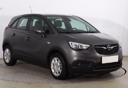Opel Inny