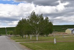 Działka inna Brewster